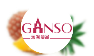 GANSO